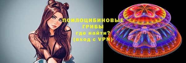 шишки Бронницы