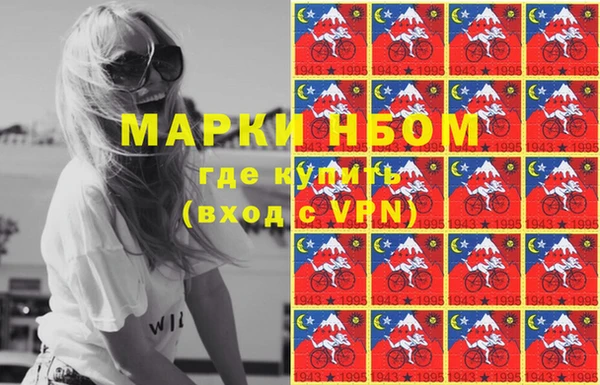 бошки Бородино