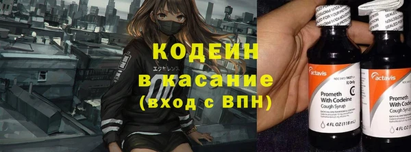 шишки Бронницы