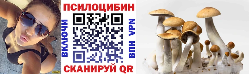 Галлюциногенные грибы прущие грибы  Гороховец 